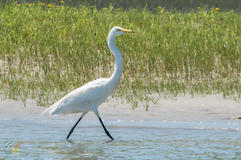 Rachel Carson Coastal Reserve
