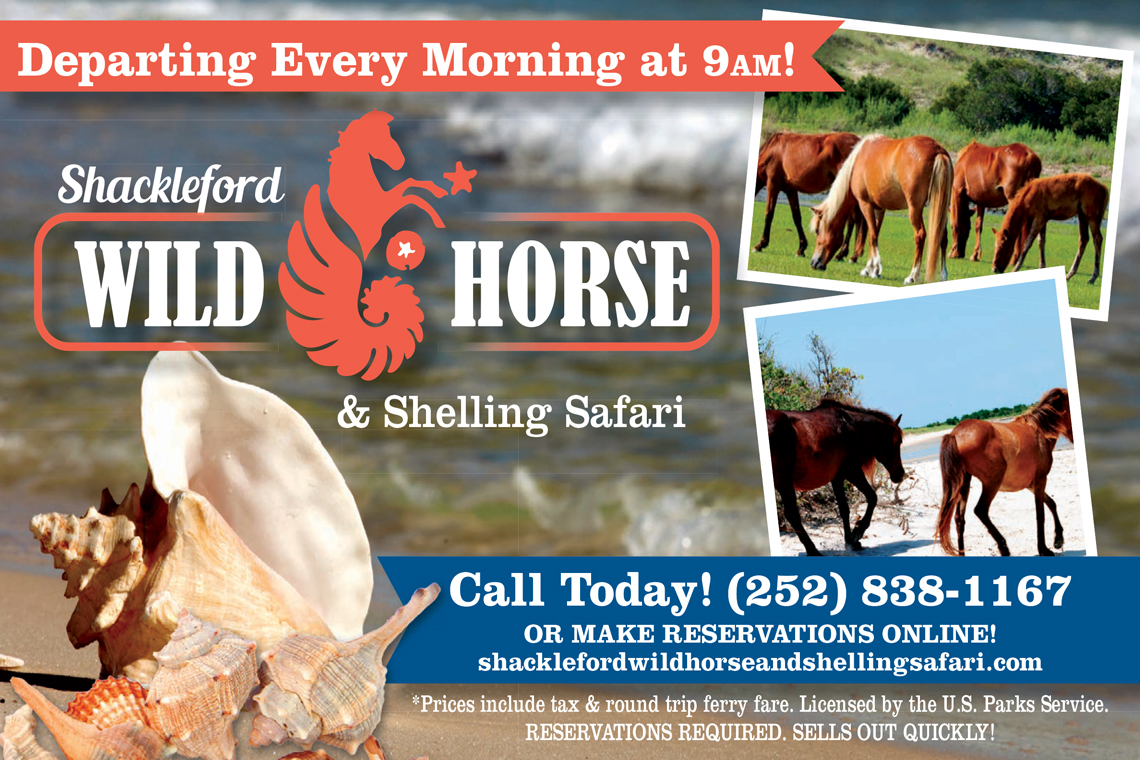 Shackleford Wild Horse & Shelling Safari