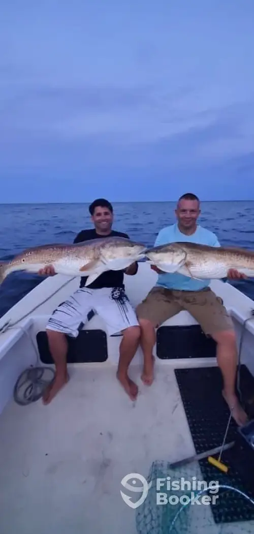 Fishing Reports Obsession Fishing Charters Outer Banks North Carolina  Sportfishing