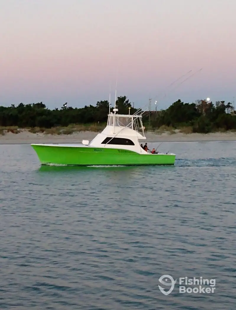 Wasabi Sportfishing charter image 2