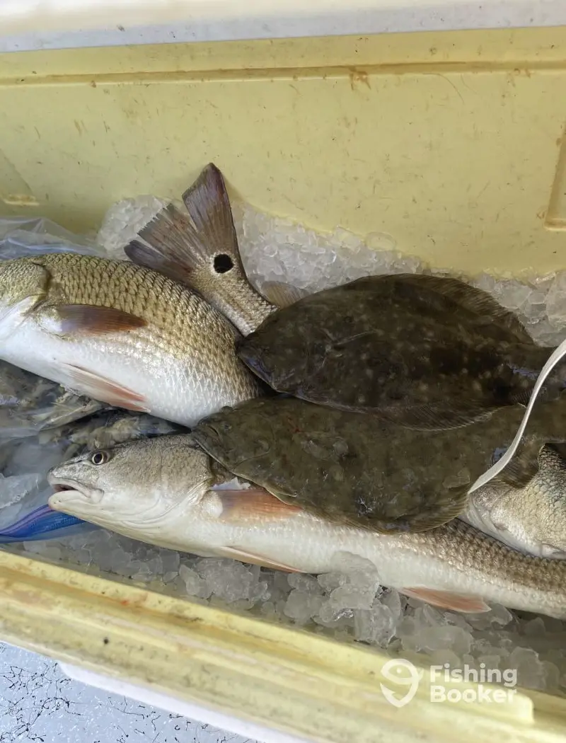 High Tide Guide Service – Morehead City charter image 4