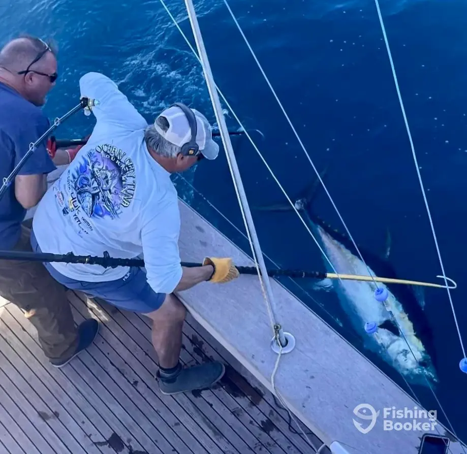 Sportfishing East Coast – North Carolina charter image 3