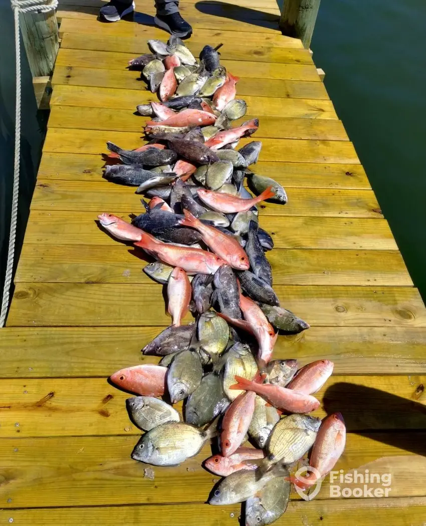 Capt. Stacy VII charter image 2