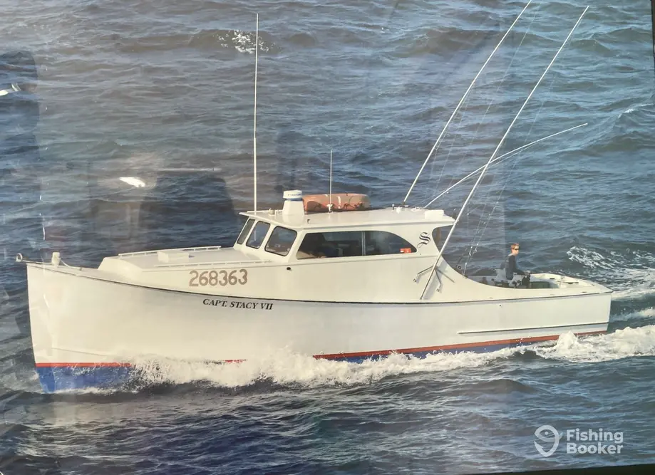 Capt. Stacy VII charter image 6