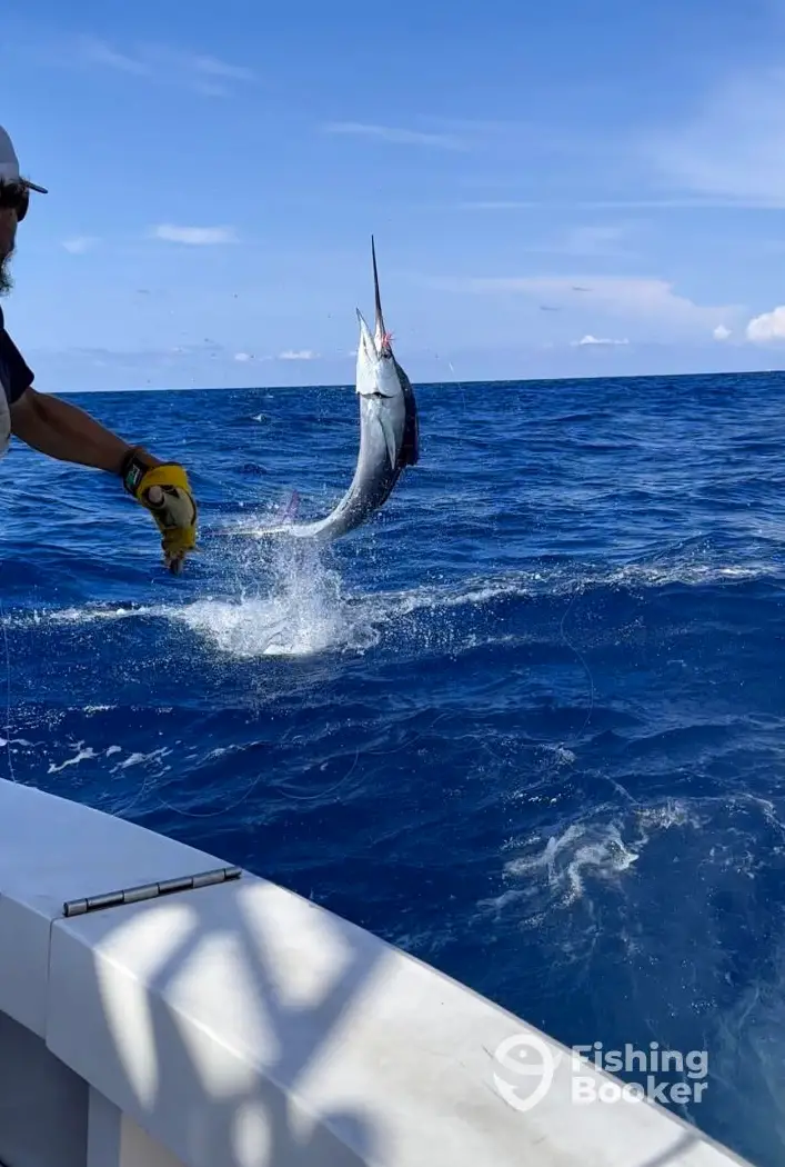Reel Priority Charters charter image 3