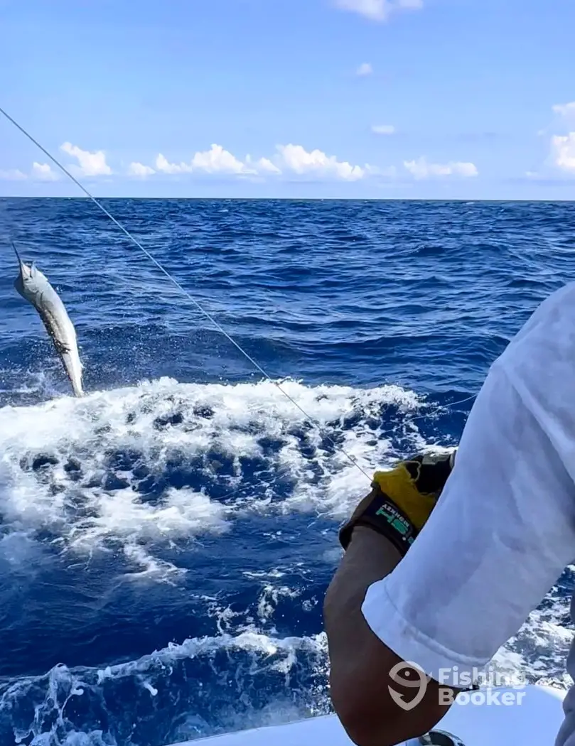Reel Priority Charters charter image 5