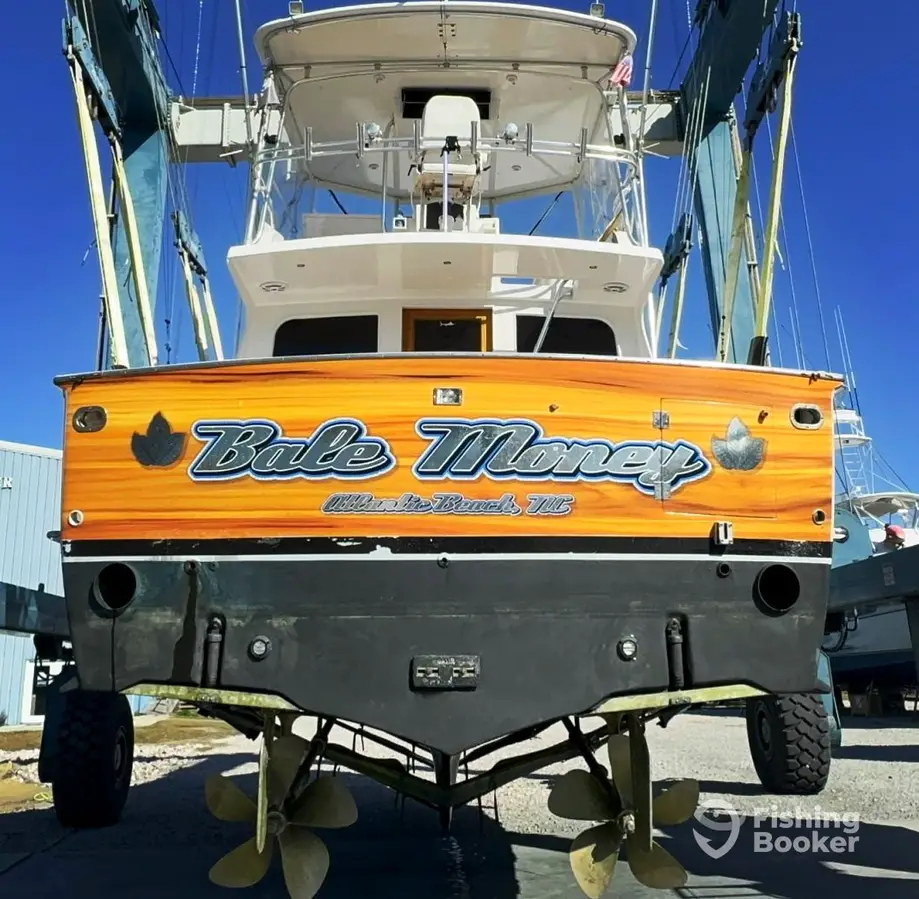 Bale Money Sportfishing Charters charter image 2