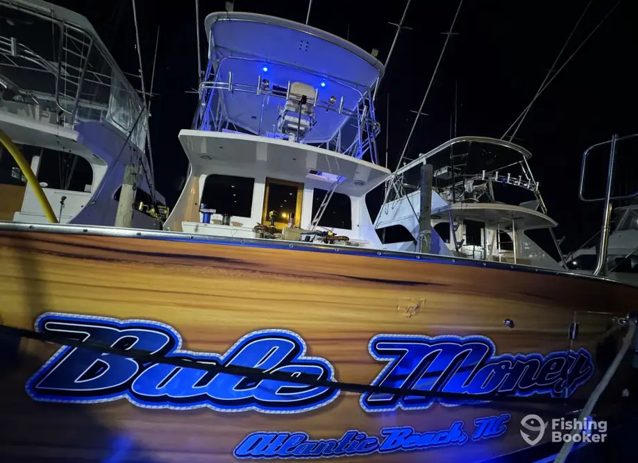 Bale Money Sportfishing Charters charter image 3