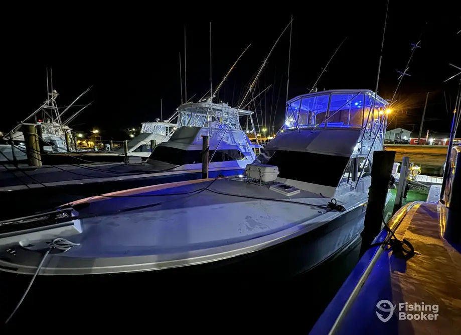 Bale Money Sportfishing Charters charter image 4