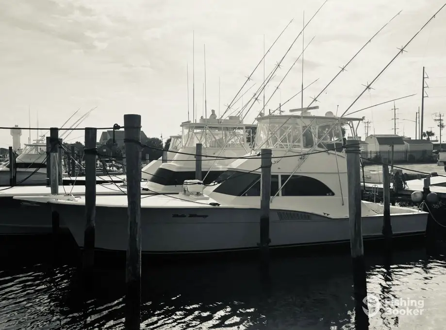 Bale Money Sportfishing Charters charter image 5